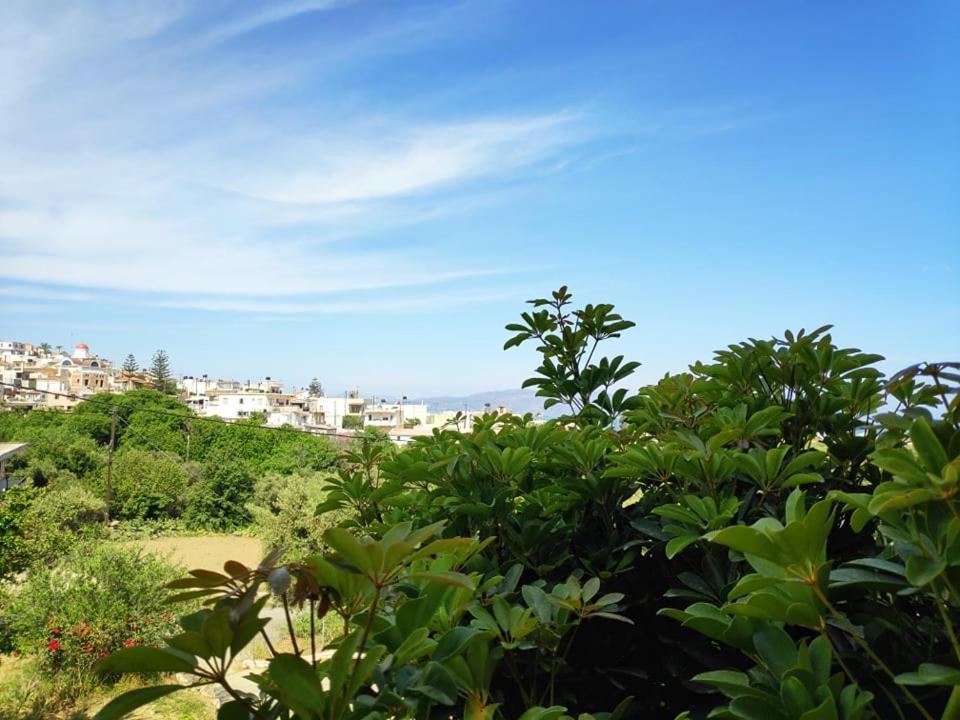 Xenia'S Countryside Guesthouse Agia Marina المظهر الخارجي الصورة